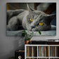 Tablou Canvas Pisica British Grey Panoply.ro