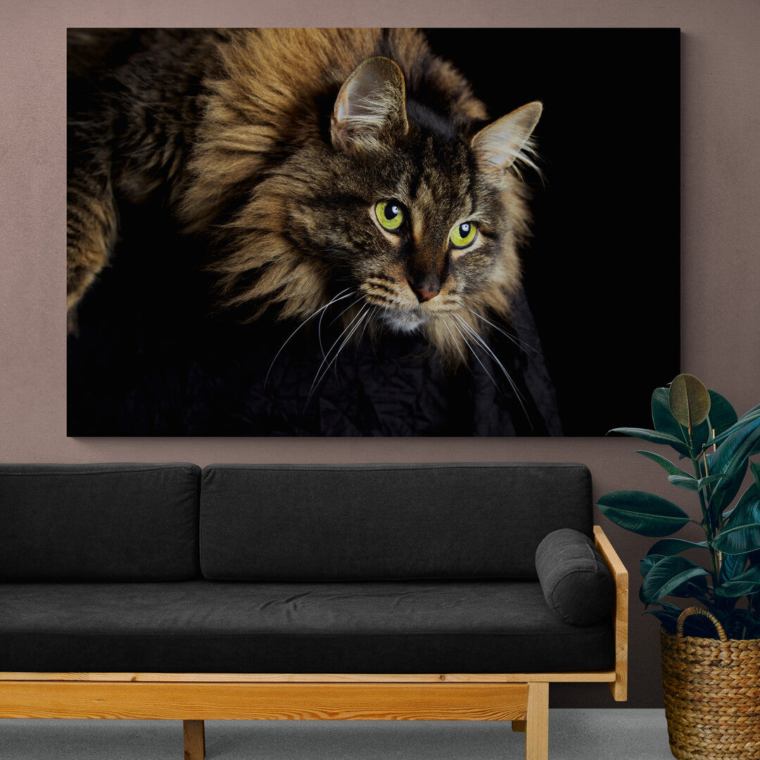 Tablou Canvas Curious Cat Panoply.ro