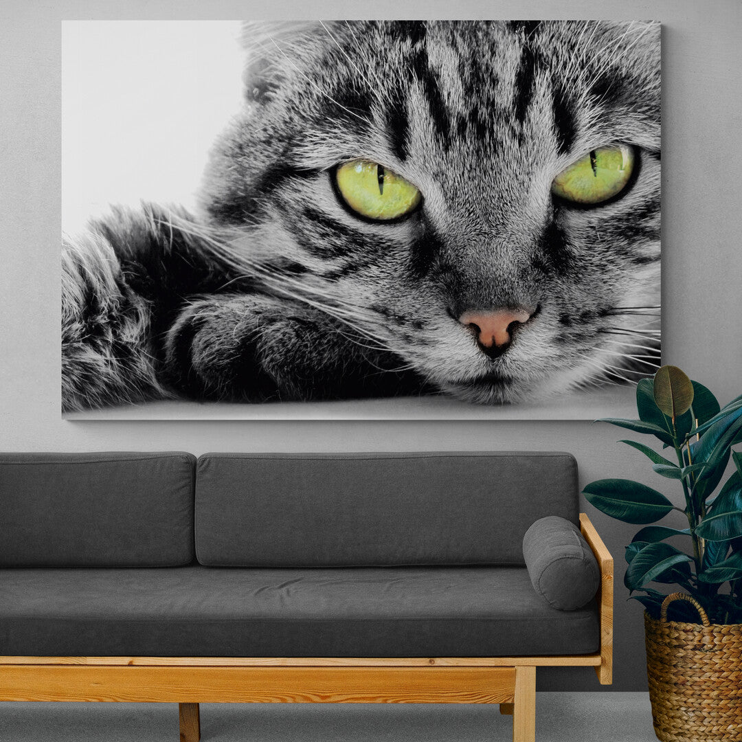 Tablou Canvas Cat Eyes