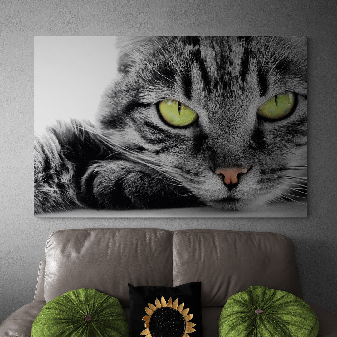 Tablou Canvas Cat Eyes