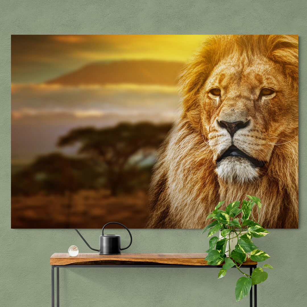 Tablou Canvas Lion King of The Jungle
